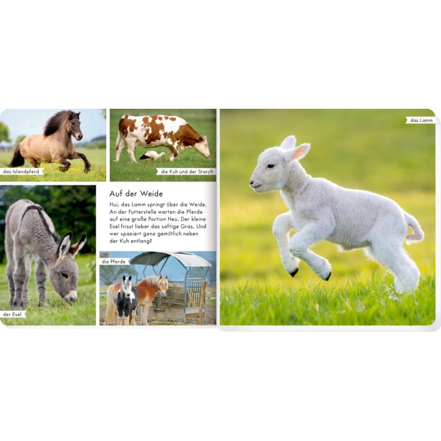 Thumbnail - Meine liebsten Tiere auf dem Bauernhof, Kinderbücher