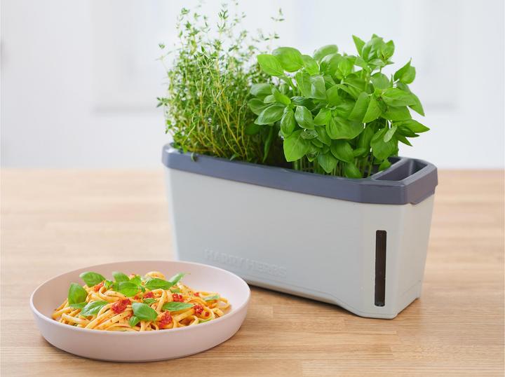 Actual product image Gusta Garden Harry Herbs (35.80 x 15 x 25 cm)