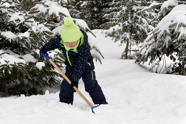 Actual product image Theo Klein Pure Fresh snow shovel