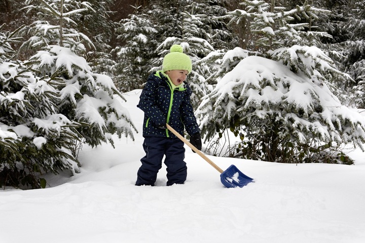 Actual product image Theo Klein Pure Fresh snow shovel