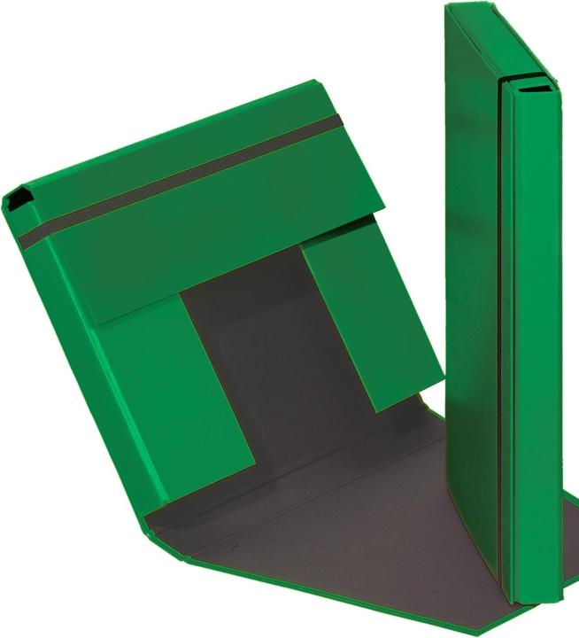 Produktbild Pagna Ordnungsmappe A4 Basic Grün (A4, 1x)