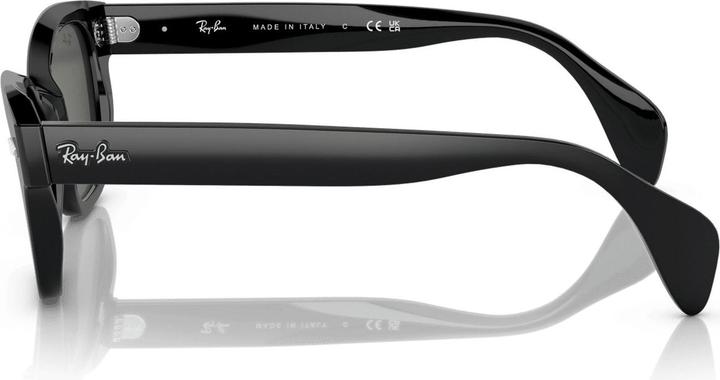 Image du produit Ray Ban RB0880S