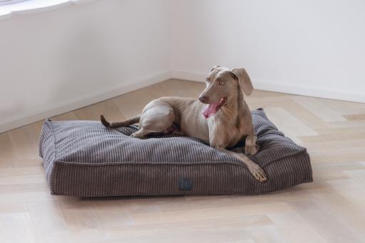 Immagine prodotto Designed by Lotte Cuscino a coste (Cane)