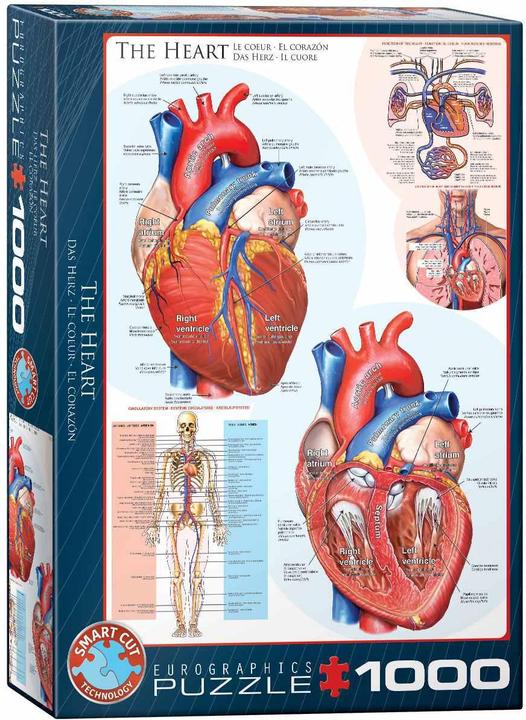 Image du produit Eurographics Le coeur (1000 pièces)
