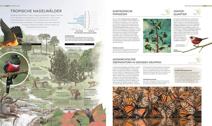 Actual product image Asher:Wilde Welten (German, Tom Jackson, Dr Claire Asher, Dr Julia Schröder, Derek Harvey., Michael Kokoscha, Claudia Franca de Abreu, Dr Rebecca Green, DK Publishing House, 2025)