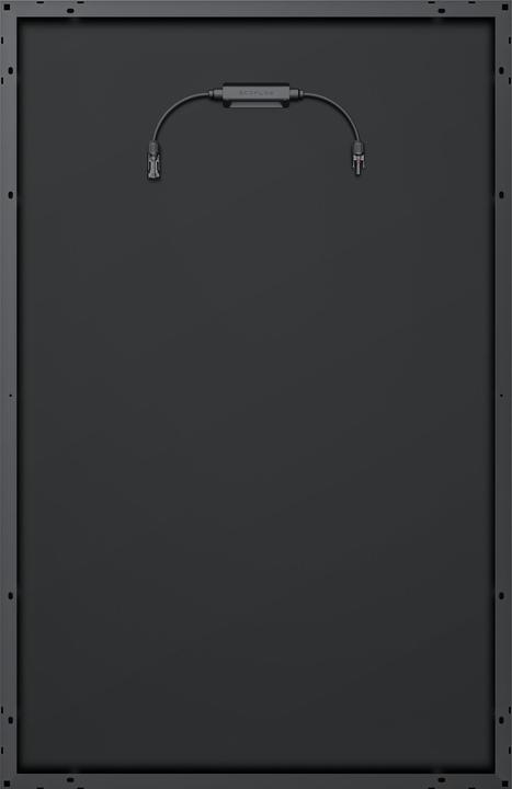 Actual product image EcoFlow Solarpanel (175 W, 9.30 kg)