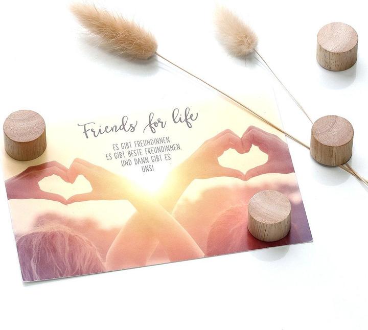 Produktbild Zeller Present Magnet (4x)