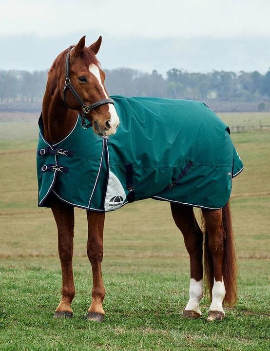 Produktbild Weatherbeeta Comfitec Plus Dynamic 220g (155 cm)