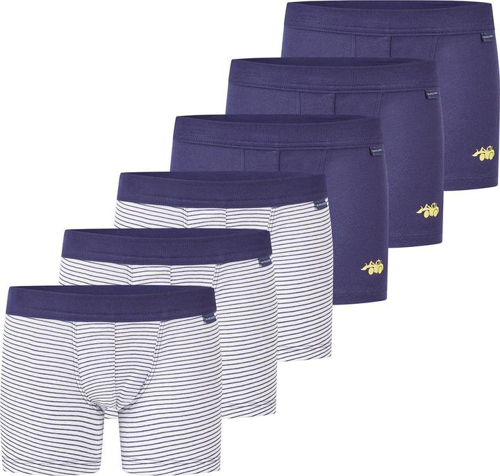 Image du produit Schiesser Lot de 6 shorts / pantalons Kids Boys à fines côtes en coton organique (140, paquet de 6)