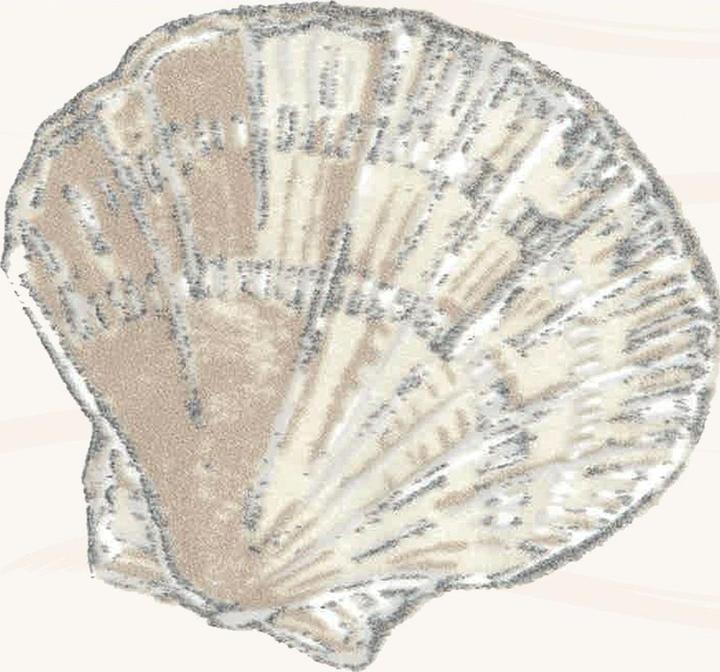 Produktbild spirella Atlantis (120 x 200 cm)