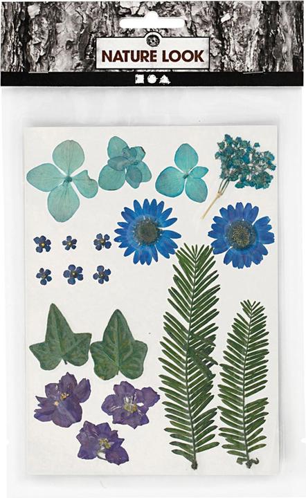 Immagine prodotto Creativ Company Fiori pressati (2 x 15 x 20 cm)