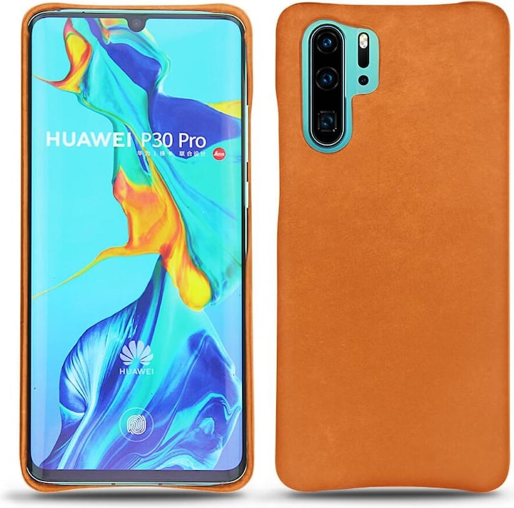 Mandarine vintage ( Pantone #d47231 )