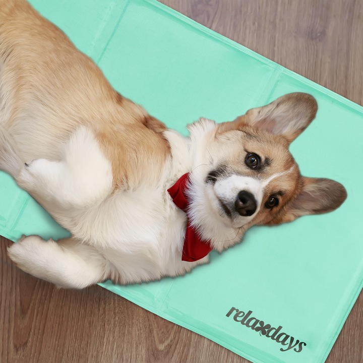 Immagine prodotto Relaxdays Tappetino refrigerante, cane (Cane)
