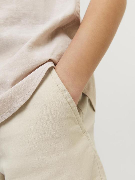 Image du produit Jack & Jones Regular Fit Regular Fit Shorts Pour les garçons Regular Fit Shorts (152)