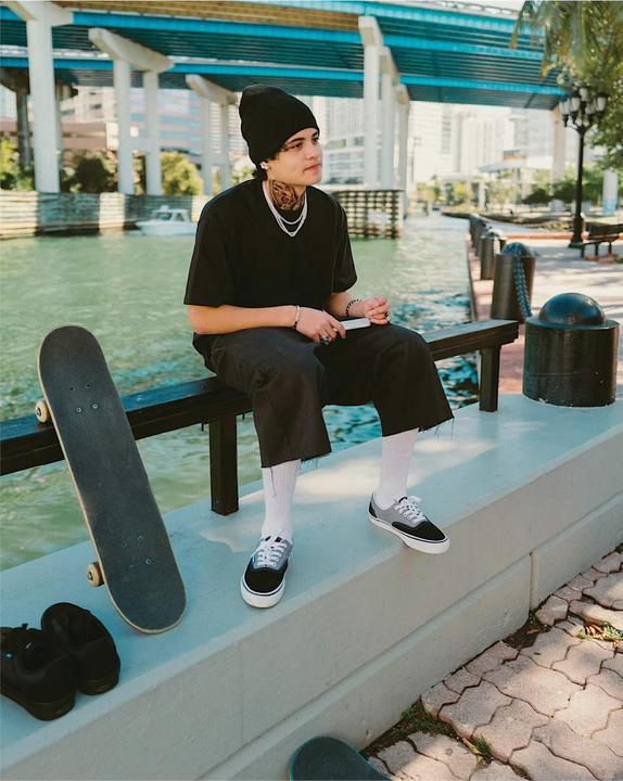 Image du produit Vans Skate Era (41)