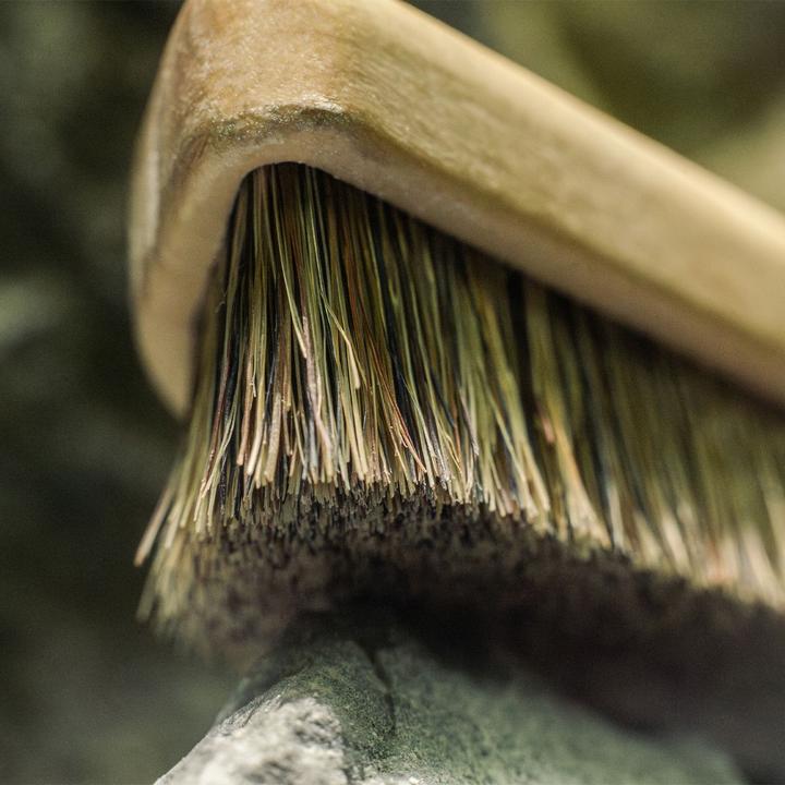 Image du produit YY Vertical Brosse verticale S