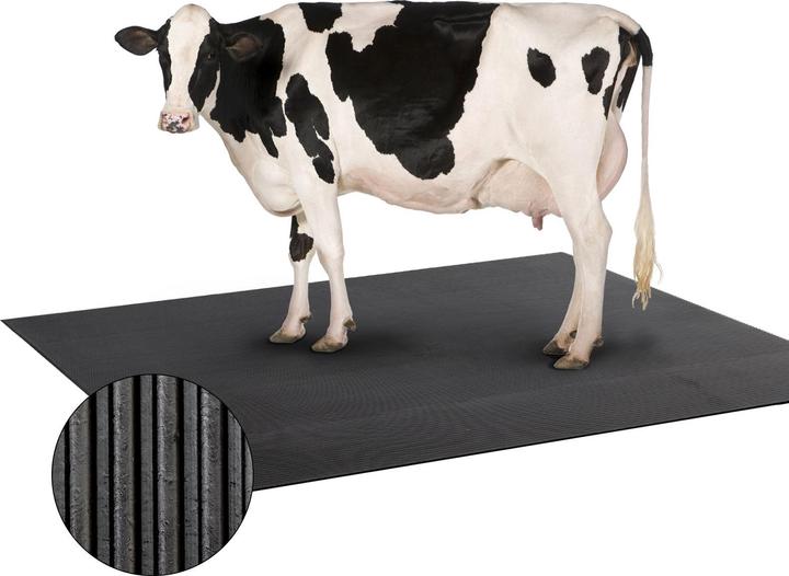 Immagine prodotto ETM Stallmatte aus Gummi (200 x 100 cm)