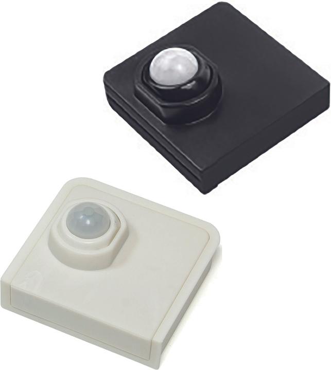 Actual product image L&S Détection de mouvement All in One Single Color 12/24 V (3 m)