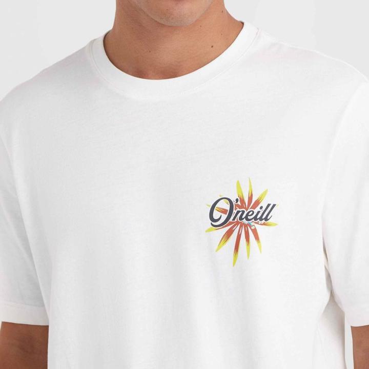Produktbild O'Neill Beach Graphic T-Shirt (M)
