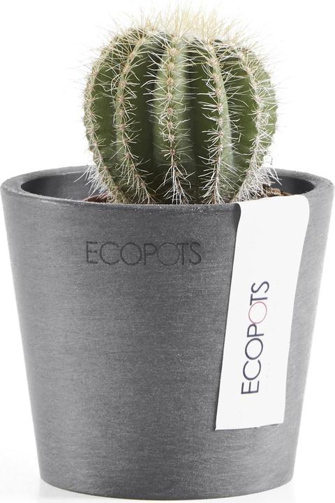 Produktbild Ecopots Amsterdam Mini (8 cm)
