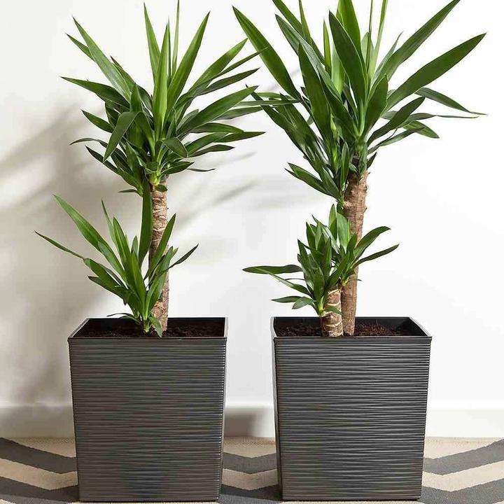 Produktbild Siena Garden Modern (30 cm)
