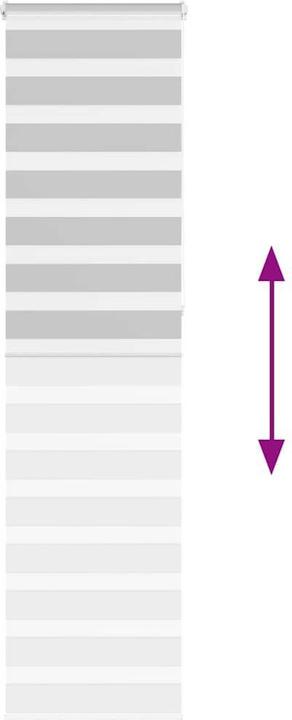 Produktbild vidaXL Zebra-Jalousie (60 x 230 cm)