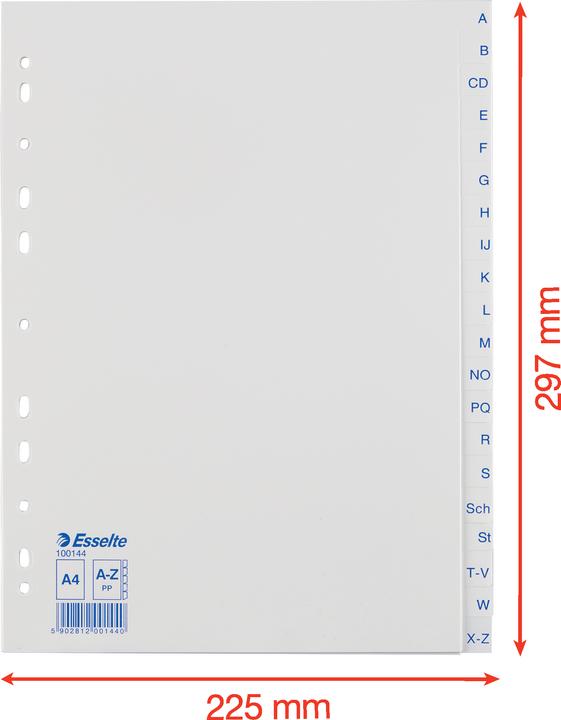 Produktbild Esselte Plastikregister Economy