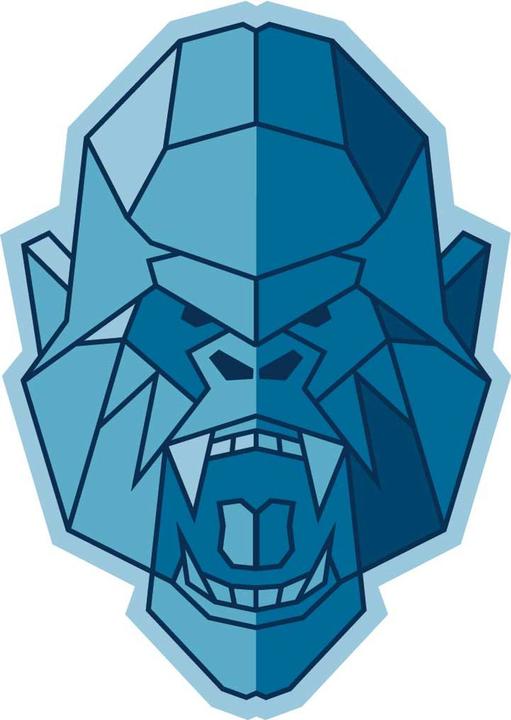 Actual product image Friction Labs Gorilla Grip Semi Chalk (340 g)