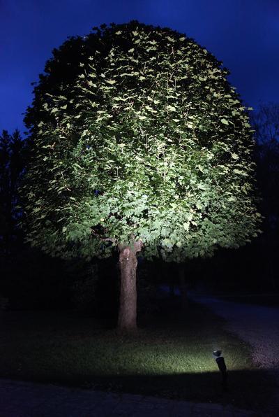 Actual product image Star Trading Spotlight (E27, 1250 lm, 1 x)