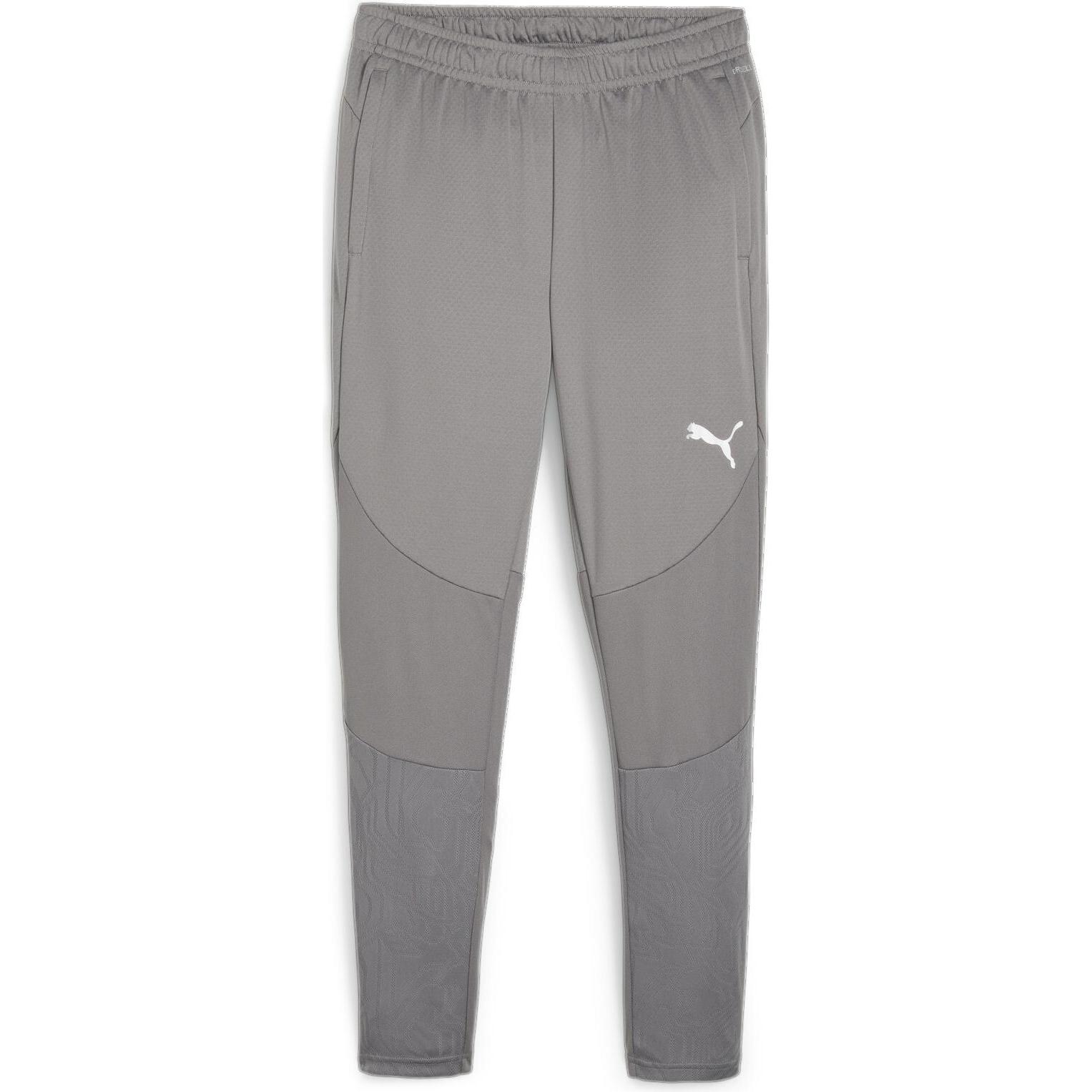 Puma, Herren, Sporthose, teamFINAL Training Pants (M), Grau, M