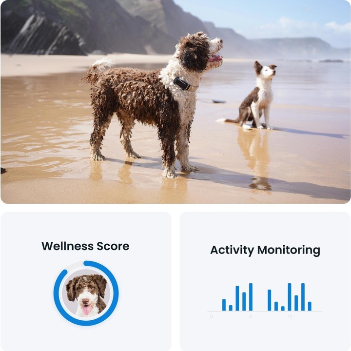 Immagine prodotto Tractive GPS Tracker Dog 6 (Cane, Passeggiare)