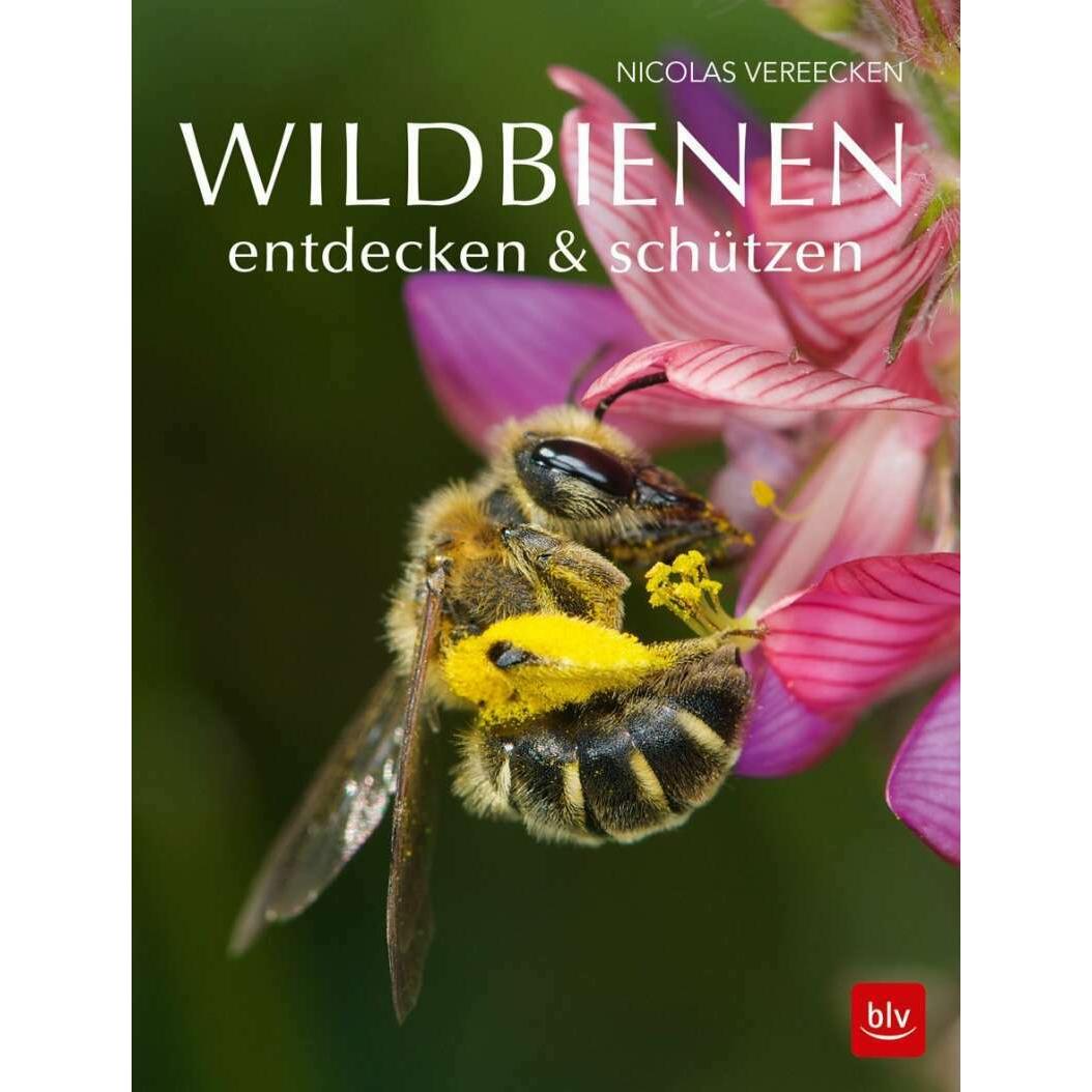 Wildbienen entdecken & schützen, Fachbücher von Nicolas Vereecken