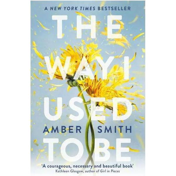 The way I used to be, Kinderbücher von Amber Smith