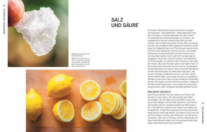 Produktbild Fermentieren. Rezepte und Techniken für Geschmack, den man nicht kaufen kann (Deutsch, Sam Cooper, 2025)