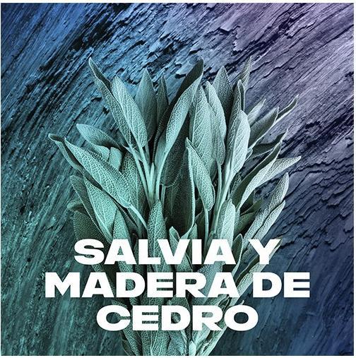 Actual product image AXE Apollo Deodorant Spray 150ml (Spray, 150 ml)