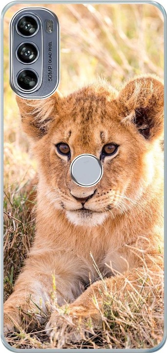 Löwen Baby