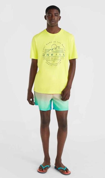 Image du produit O'Neill Jack Cali Gradient 15" Short De Natation (L)