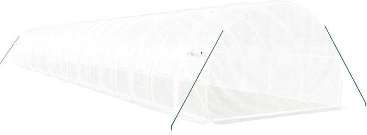 Actual product image vidaXL Gewächshaus