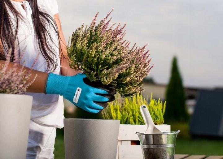 Produktbild Cellfast Ergo Gartenhandschuhe 8/M (8)
