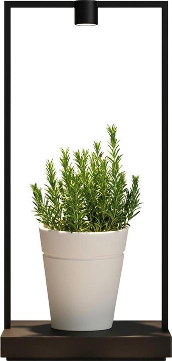 Actual product image Artemide Curiosity (234 lm)