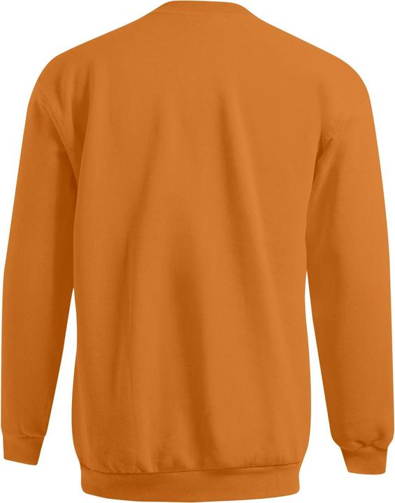 Produktbild Promodoro Men's New Sweater 100 (XS)
