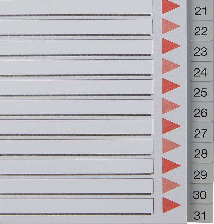 Immagine prodotto Leitz Registri in plastica Esselte, numeri, A4, 1-31, grigio in 31 parti, PP, 0,12 mm, con coperchio
