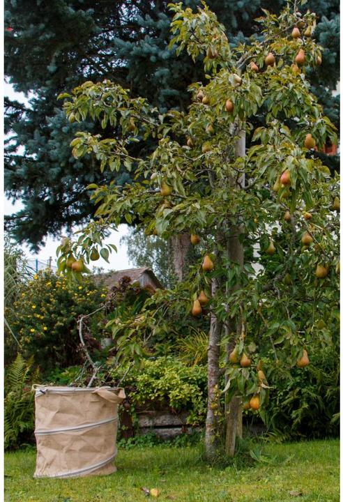 Produktbild Colibri Allzweckbehälter Pop-up Jute 172 l, D56xH70 cm (172 l)