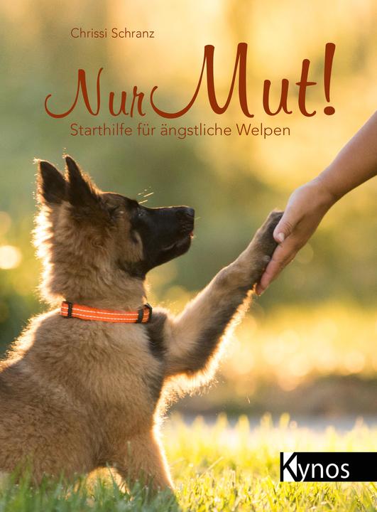Produktbild Nur Mut! (Deutsch, Chrissi Schranz, 2017)