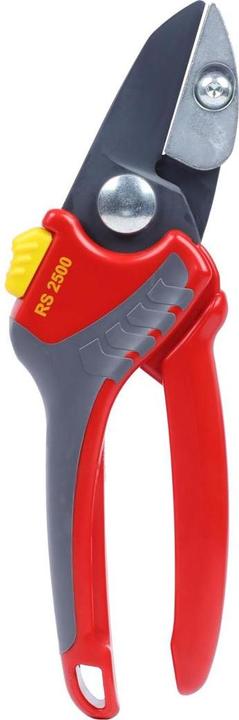 Produktbild Wolf-Garten Rs 2500