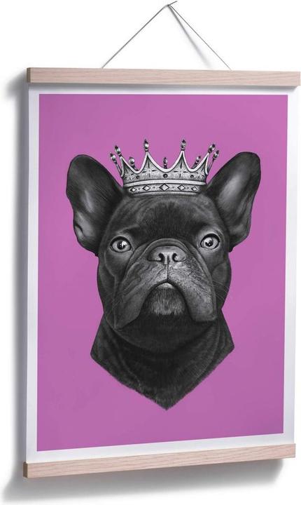 Immagine prodotto Trenddeko Re bulldog francese rosa (30 x 40 cm)