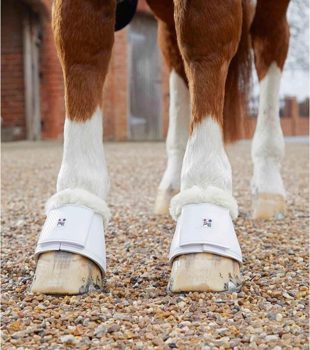 Image du produit Premier Equine Carbon Tech Techno Wool Over Reach (M)