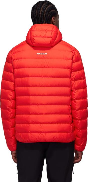 Actual product image Mammut Waymarker IN Hooded Jacket Men (M)