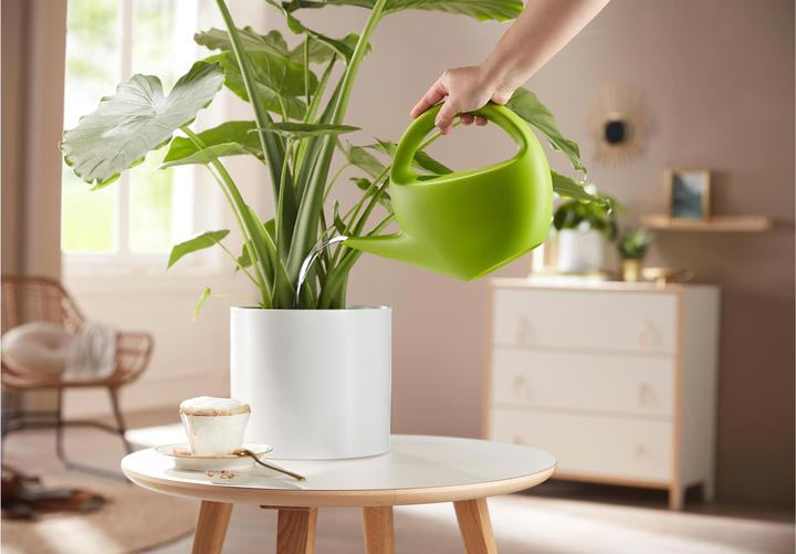 Immagine prodotto Scheurich Smilla (1.60 l)