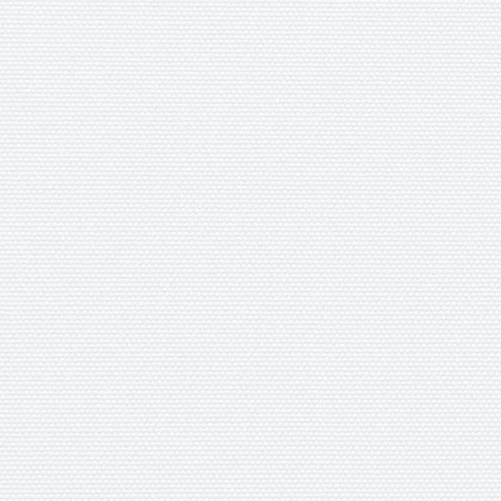 Actual product image vidaXL Extendable side awning (0.50 m)